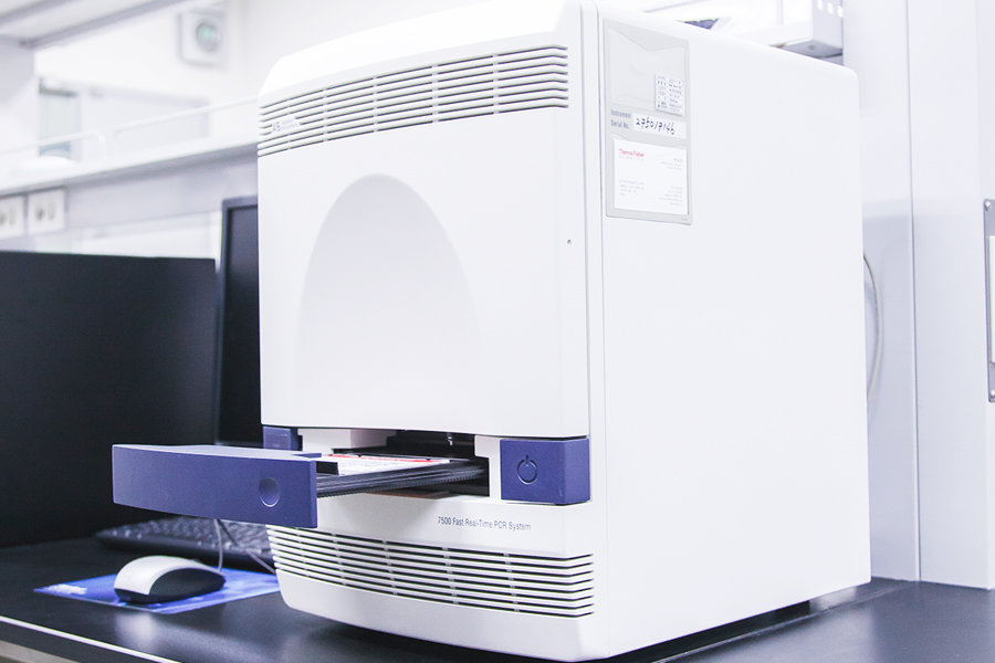 유전자 발현을 실시간으로 확인할 수 있는 실시간 유전자 분석시스템(RT PCR)